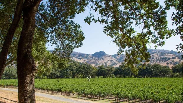 Stags Leap Wine Cellars - Image 1